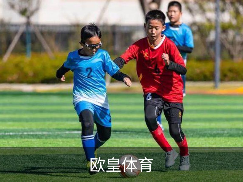欧皇体育概况